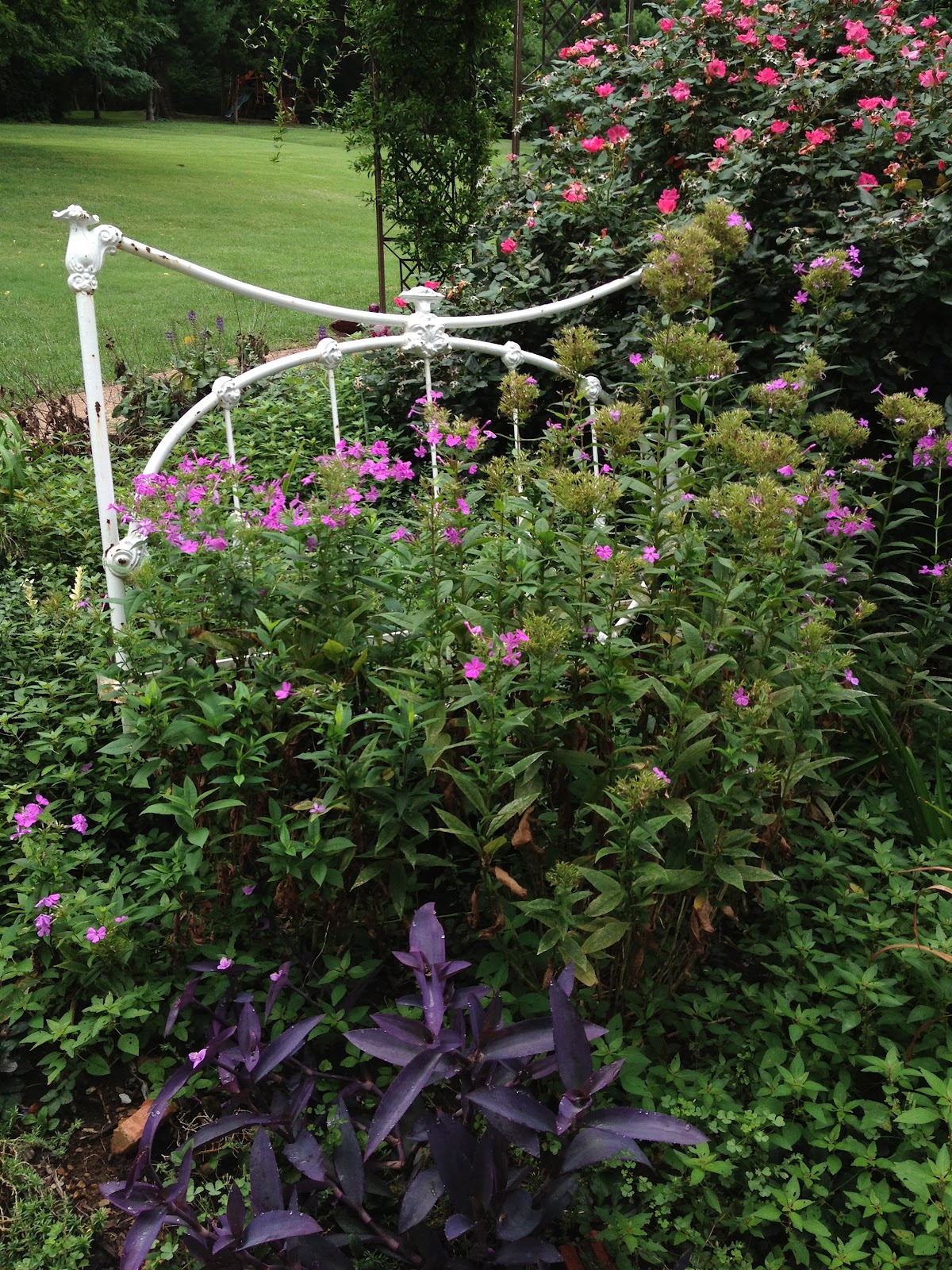 Eccentric Little Beauties Iron Headboard in the Garden update