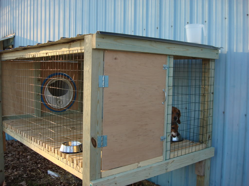 The Real APBT Dog Kennel Setups and Designs
