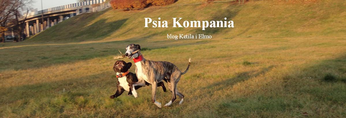 Psia Kompania