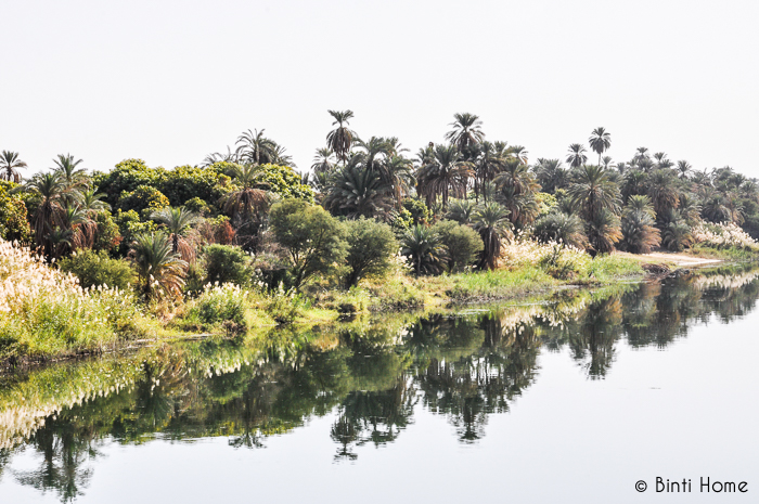 Nile Luxor green - Binti Home