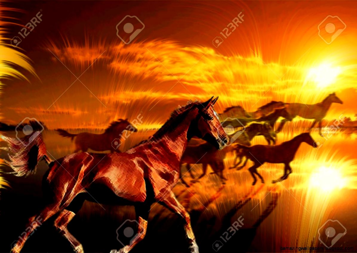 Wild Horses Running Against A Colourful Sunset Stock Photo Wild Horses Running Against A Colourful Sunset Stock Photo