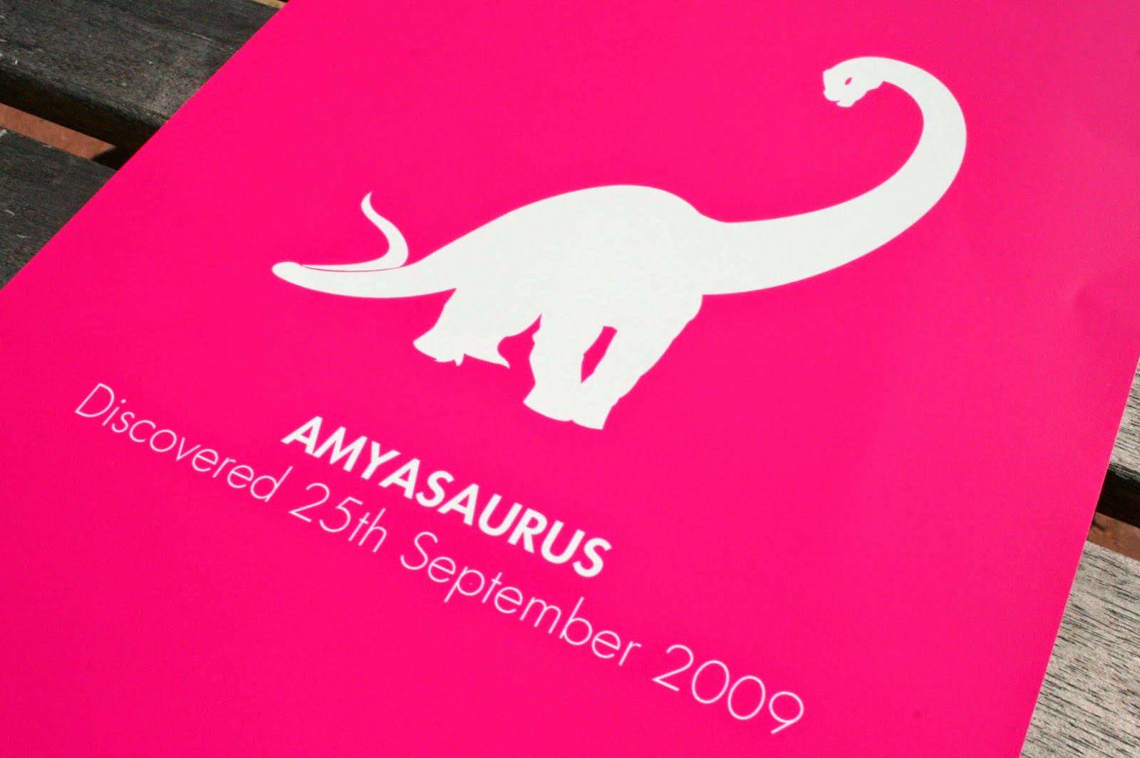 two tiny terrors Personalised Prints from Chatterbox Walls, Review