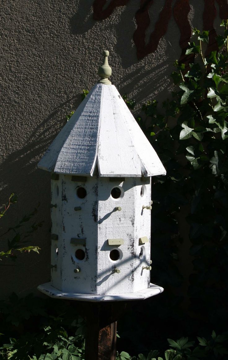 Bird In Everything Octagon Bird Feeder