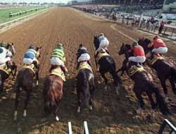 2011 Preakness Stakes Betting