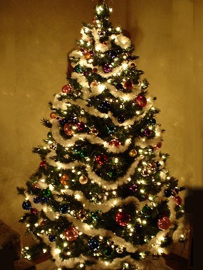 Yılbaşında çam ağacı süsleme adeti nereden geliyor? Yılbaşında çam ağacı süsleme adeti nereden geliyor? | Caronoloji