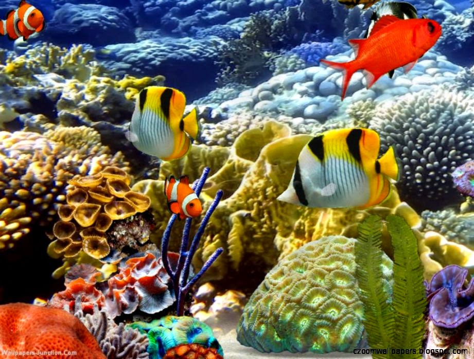 Download 3D Aquarium Desktop Background | Zoom Wallpapers