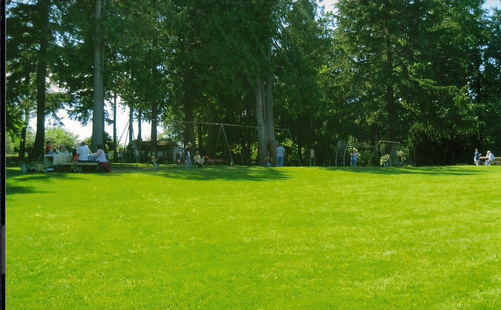 This side of the Road The green green grass of home