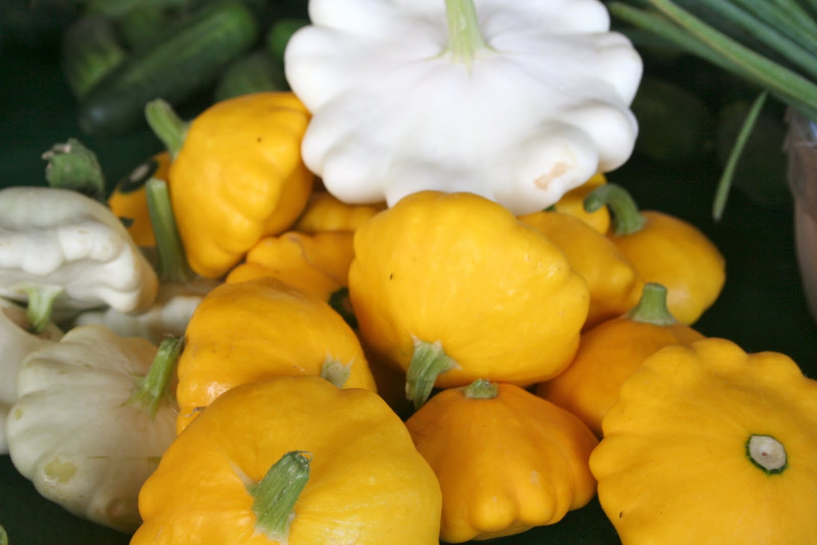 UnRecipes Patty Pan Squash