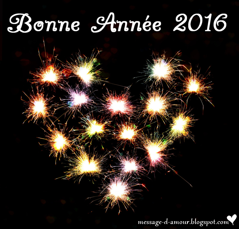 bonne%2Bann%25C3%25A9e%2B2016.jpg