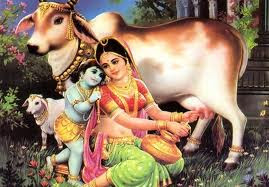 பக்தி வேண்டும்... Krishna+yasodha+cow+calf