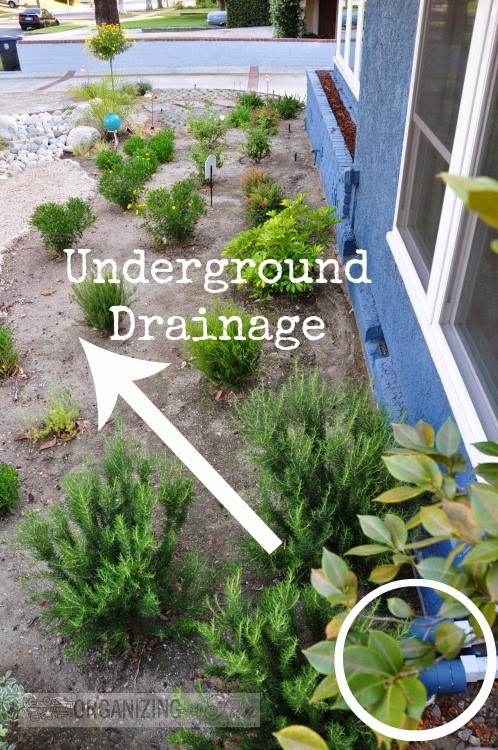 Amazing Front yard Make-Over! | Organizing Made Fun: Amazing Front yard