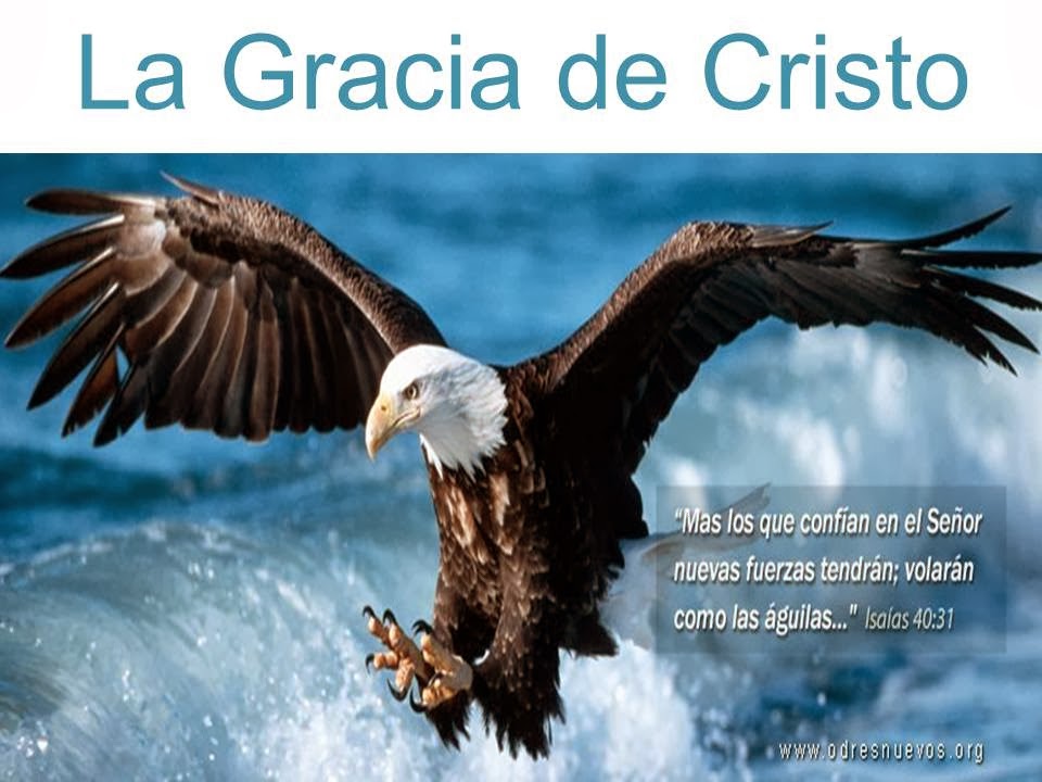 LA GRACIA DE CRISTO