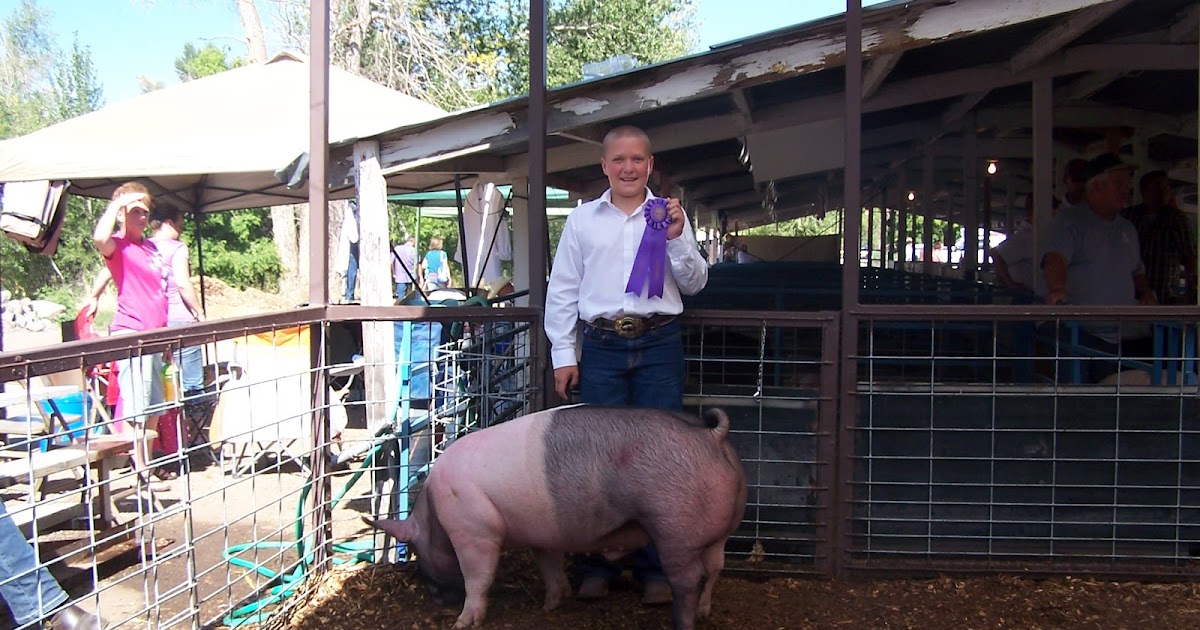 Utah Show Pigs Another GRAND CHAMPION SHOWPIG