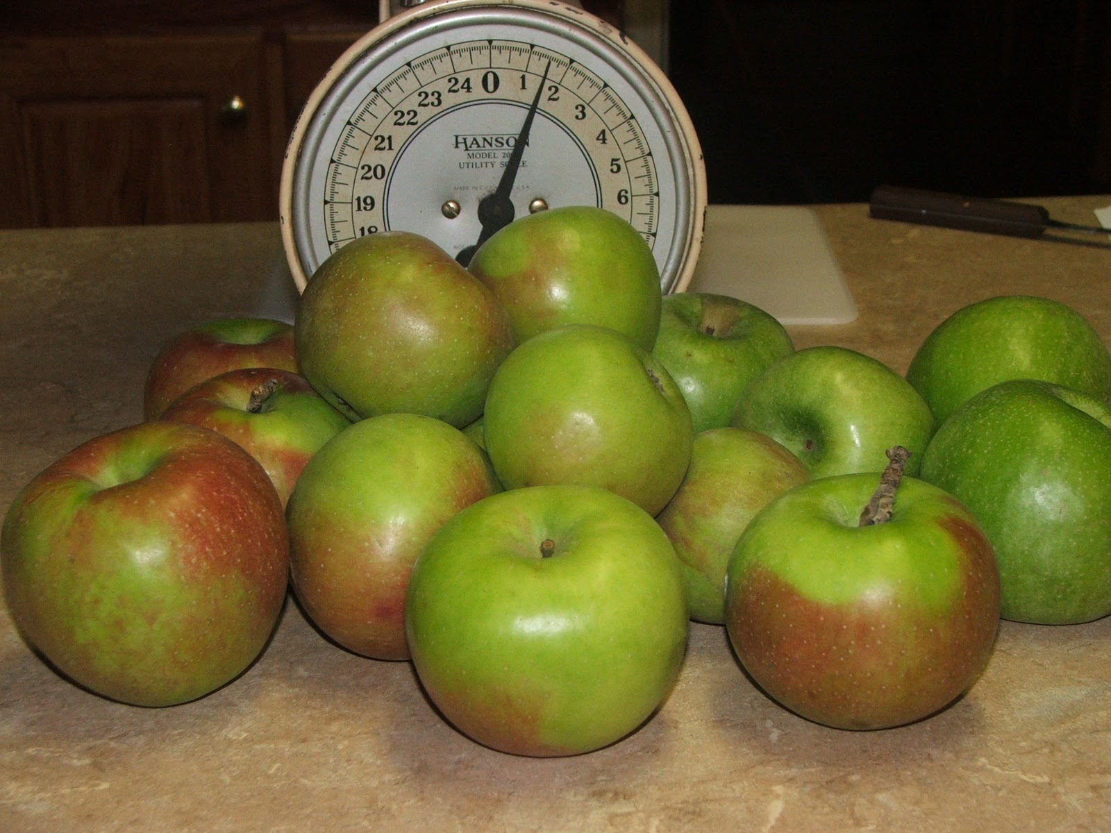 Canning Granny Canning Apples in Cinnamon Syrup A