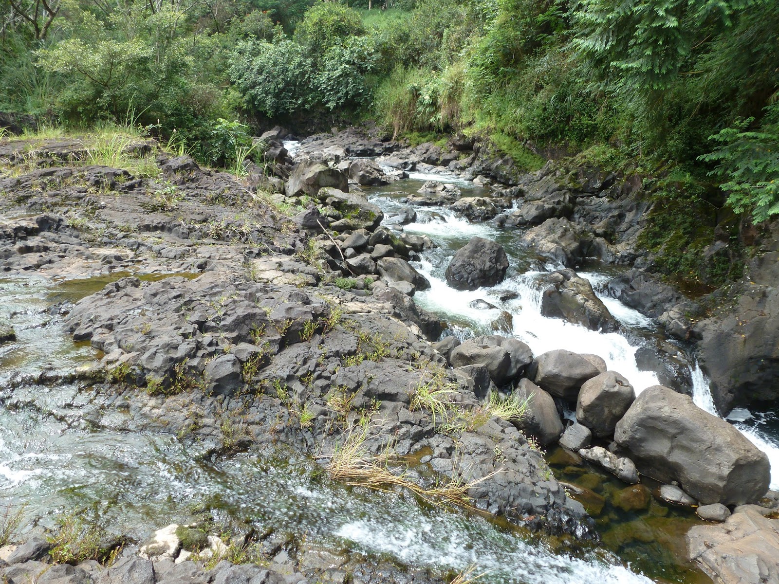 "Not All Those Who Wander Are Lost" Boiling Pots, Hilo, Hawaii