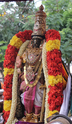 2015, Kodai Utsavam, Venkata Krishnan Swamy, Parthasarathy Temple, Thiruvallikeni, Triplicane