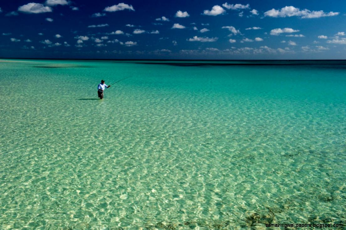 EAST END LODGE SNOOK  GRAND BAHAMA ISLAND BAHAMAS  Yellow Dog EAST END LODGE SNOOK  GRAND BAHAMA ISLAND BAHAMAS  Yellow Dog