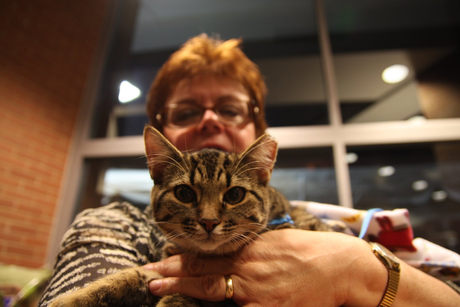 Black Tie & Tails Real Housepets of Pittsburgh was a Success! Animal