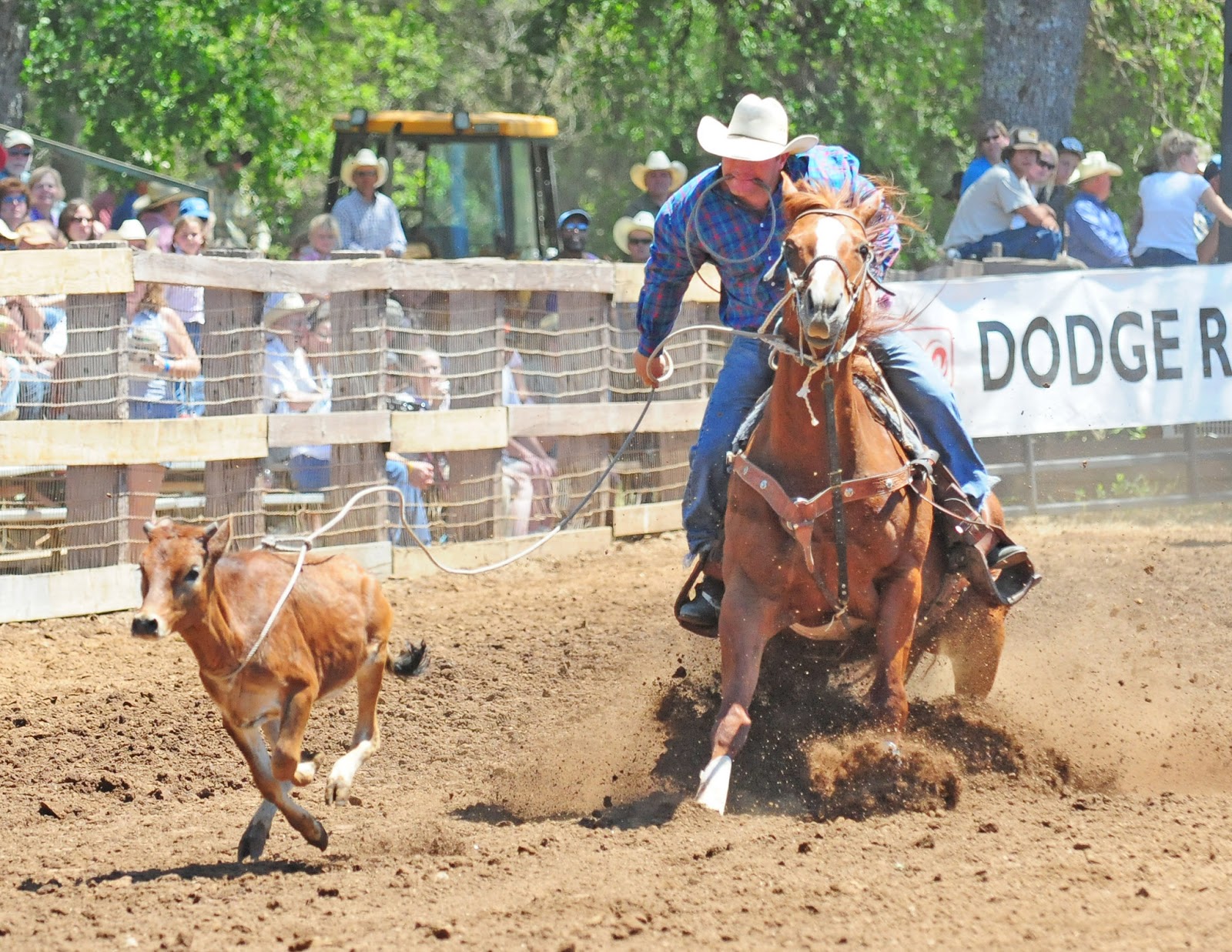 eTerritorial Dispatch 56th Annual Penn Valley Rodeo