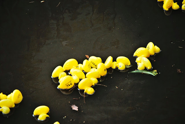 Great Sheffield Duck Race Sheffield Duck Race