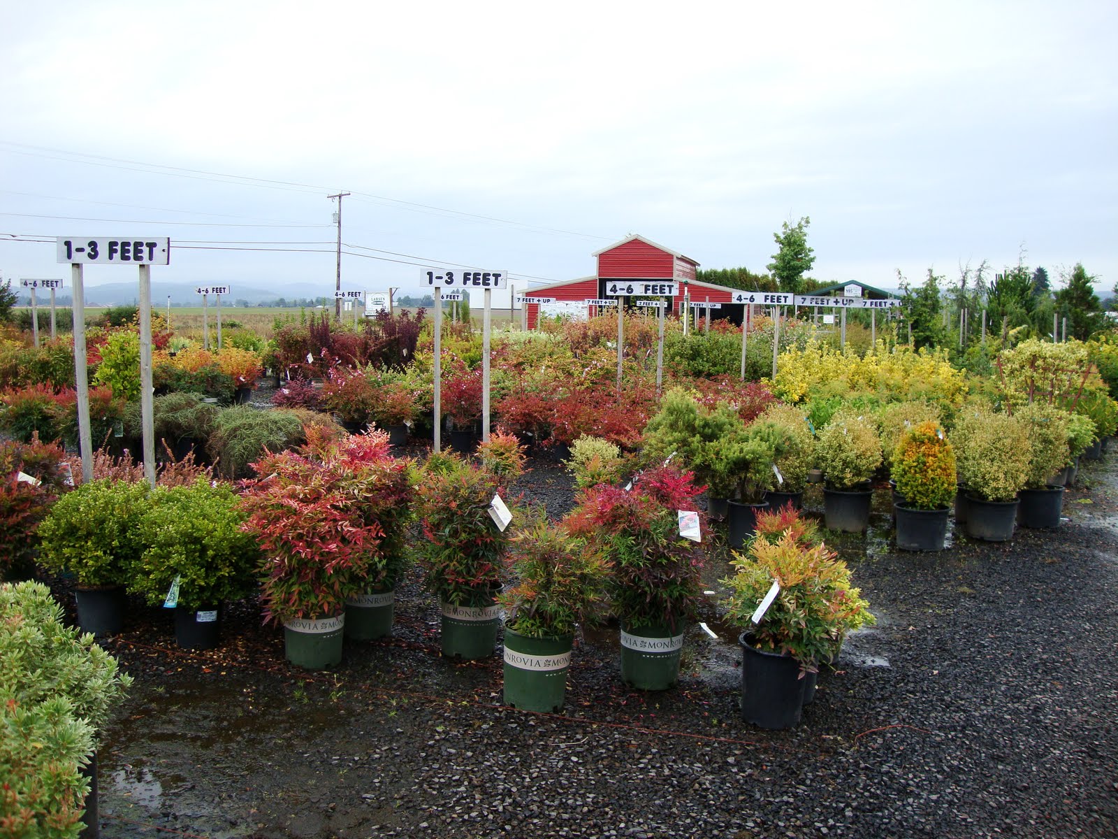 Farm Nursery