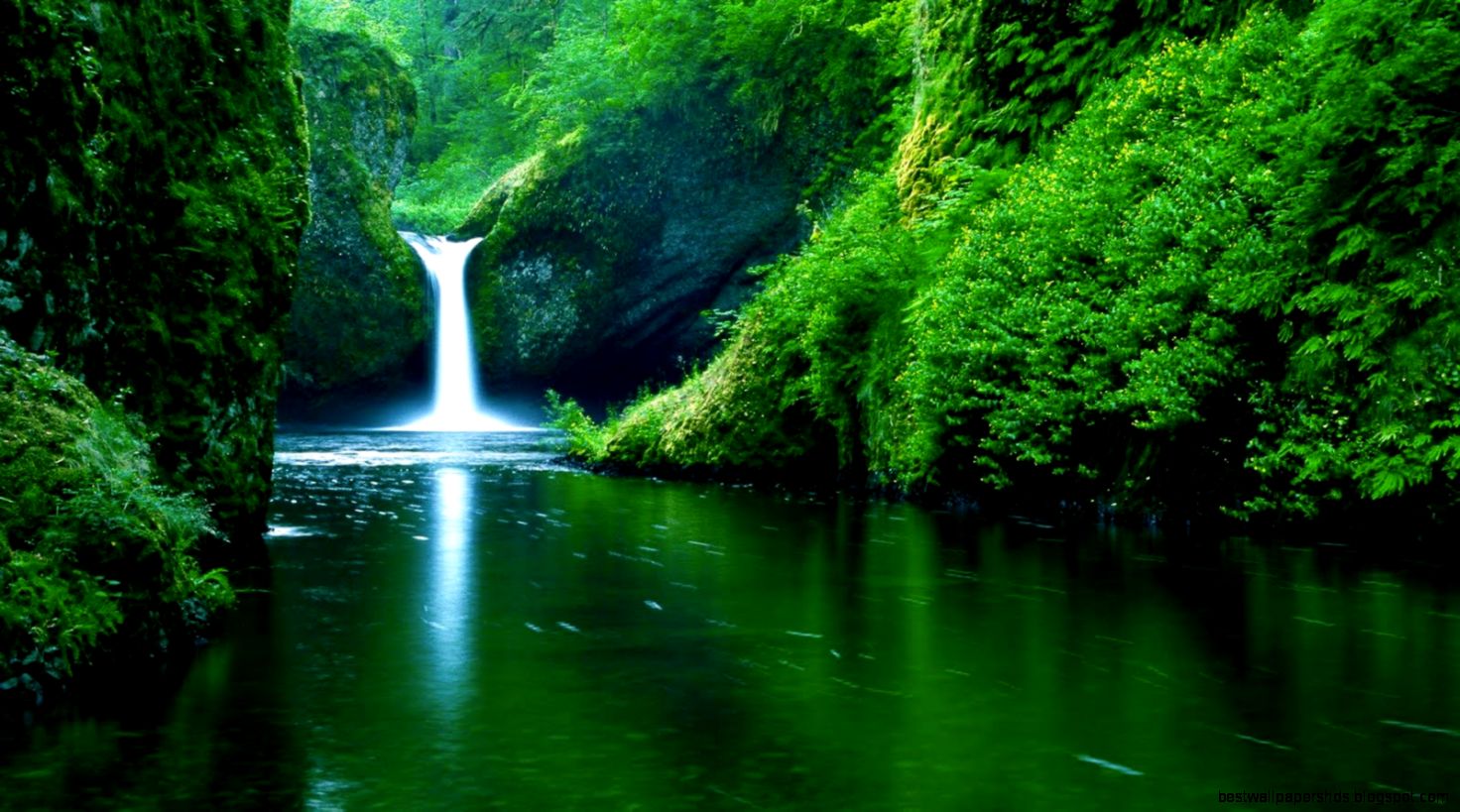 Cool Pictures Of Nature Wallpaperhits Cool Pictures Of Nature Wallpaperhits
