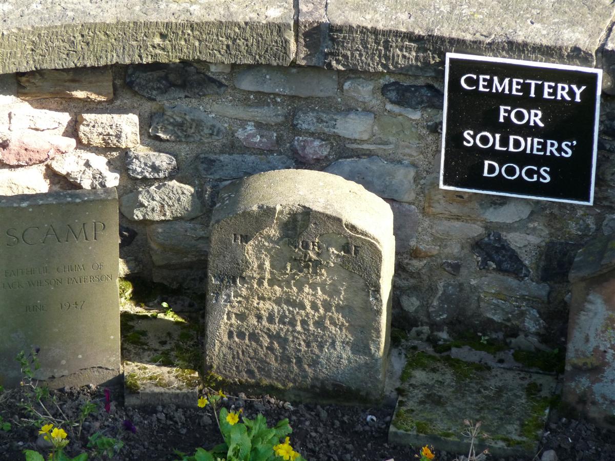 The Holes of My Soles Dog Cemetery Edinburgh Castle