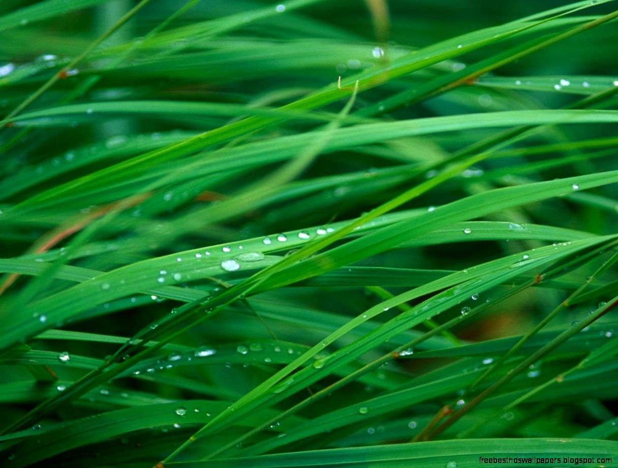 1280x1024 Hd Wallpapers and Background 1280x1024 Hd Wallpapers and Background