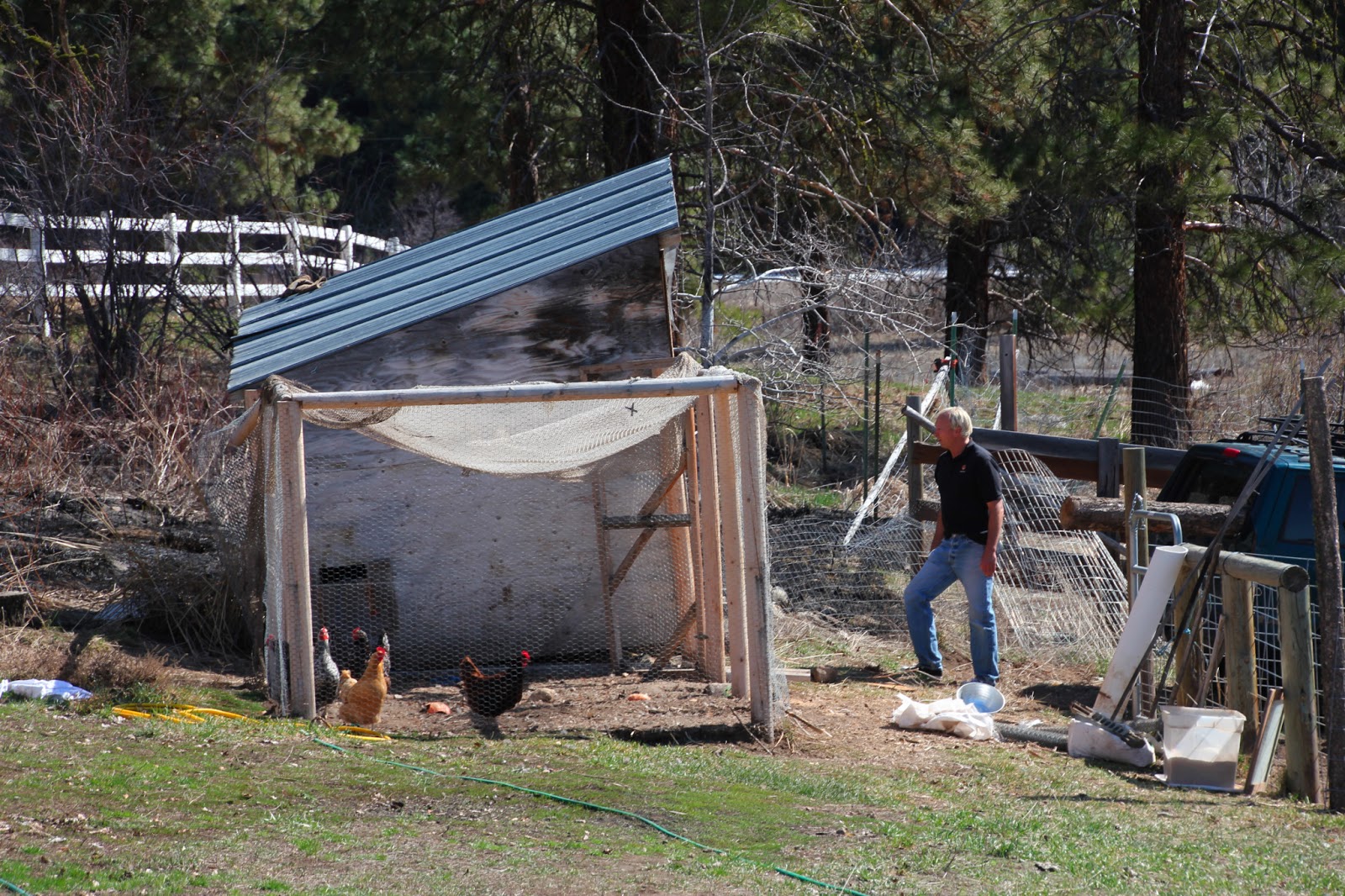 Down by the Creek Moving the chicken coop