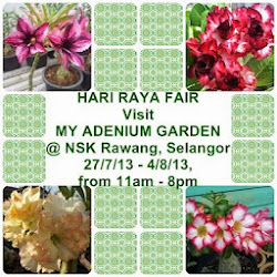 Hari Raya Fair