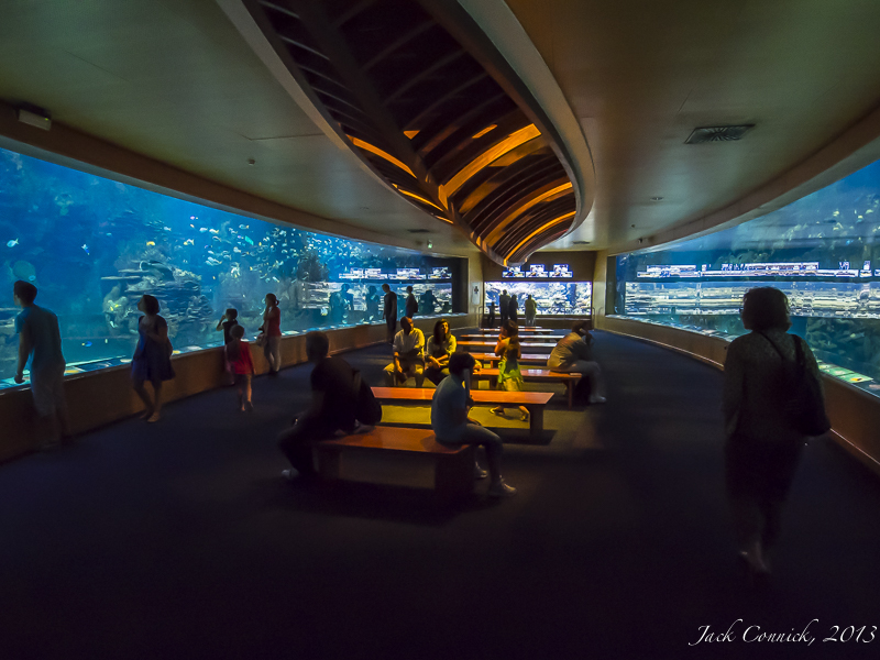Valencia Aquarium; Europe's Largest and Best!