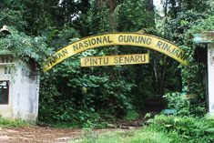 Mount Rinjani Gate Area Mount Rinjani Informations