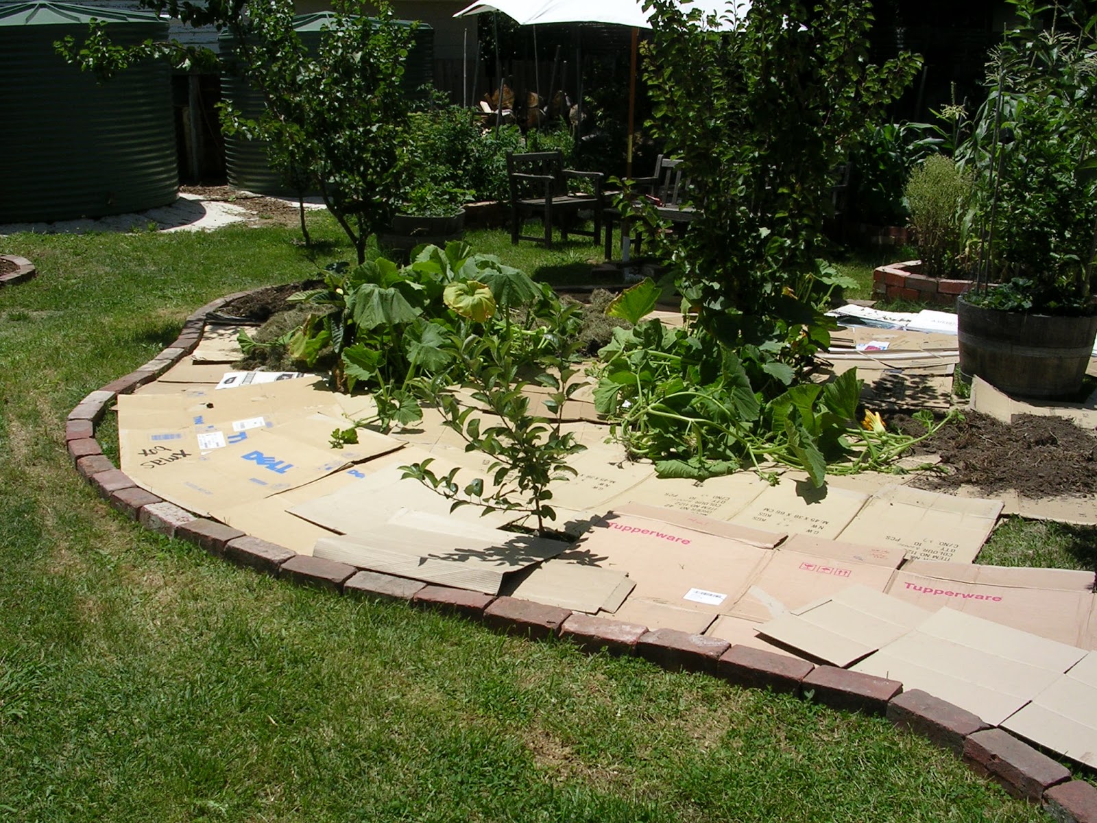 Pragmatic Sustainability Making a nodig garden bed