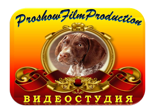 Студии ProshowFilmProduction! Научим создавать ролики