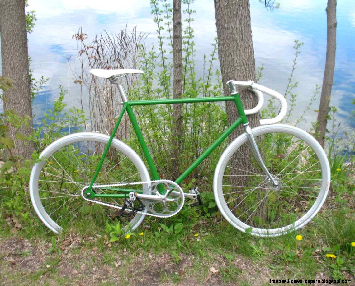 Green White and Chrome on velospace the place for bikes Green White and Chrome on velospace the place for bikes