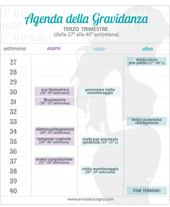 calendario della gravidanza da scaricare