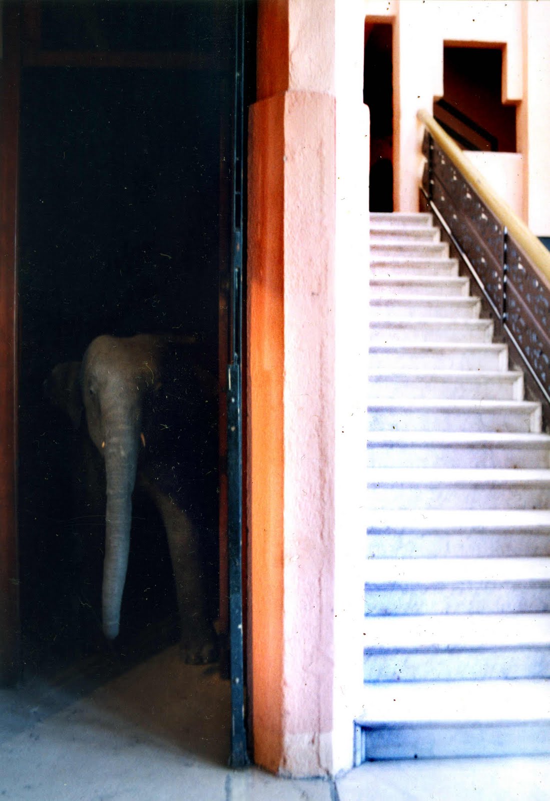 13 ideas de Elefantes SUERTE  elefantes, elefantes pintados, decoración de  unas