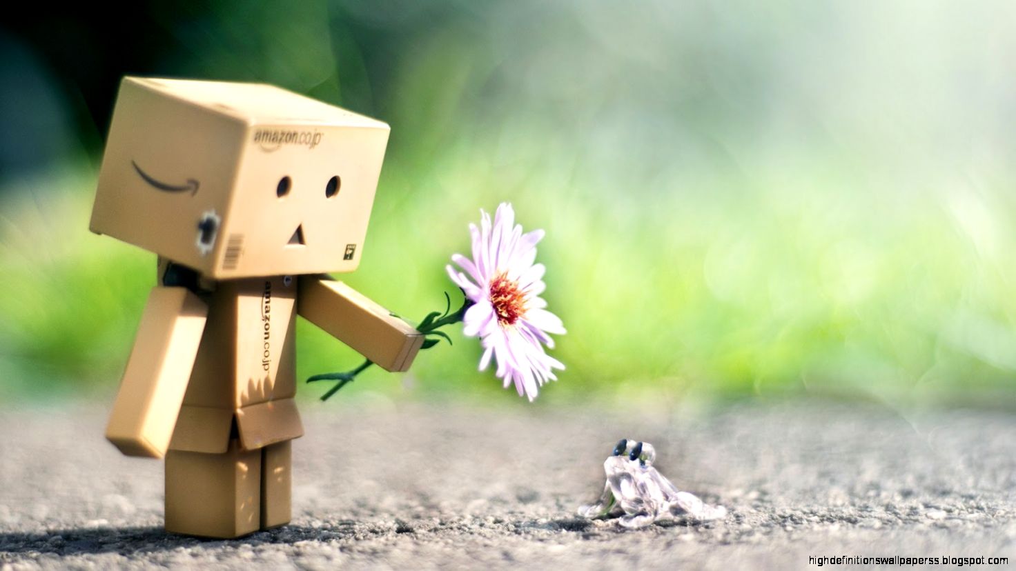 Danbo Flower New Hd Wallpaper Free High Definition Wallpapers Danbo Flower New Hd Wallpaper Free High Definition Wallpapers