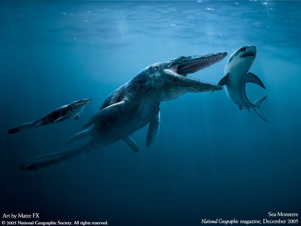 http://3.bp.blogspot.com/-km9n7tTh68w/UMs_34gX2fI/AAAAAAAADHc/XinrIr8JRek/s1600/National%20Geographic%20HD%20Wallpapers%2024.jpg