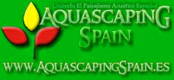 Aquascaping Spain