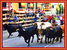 TENDILLA DE TOROS - CANAL DE VIDEOS