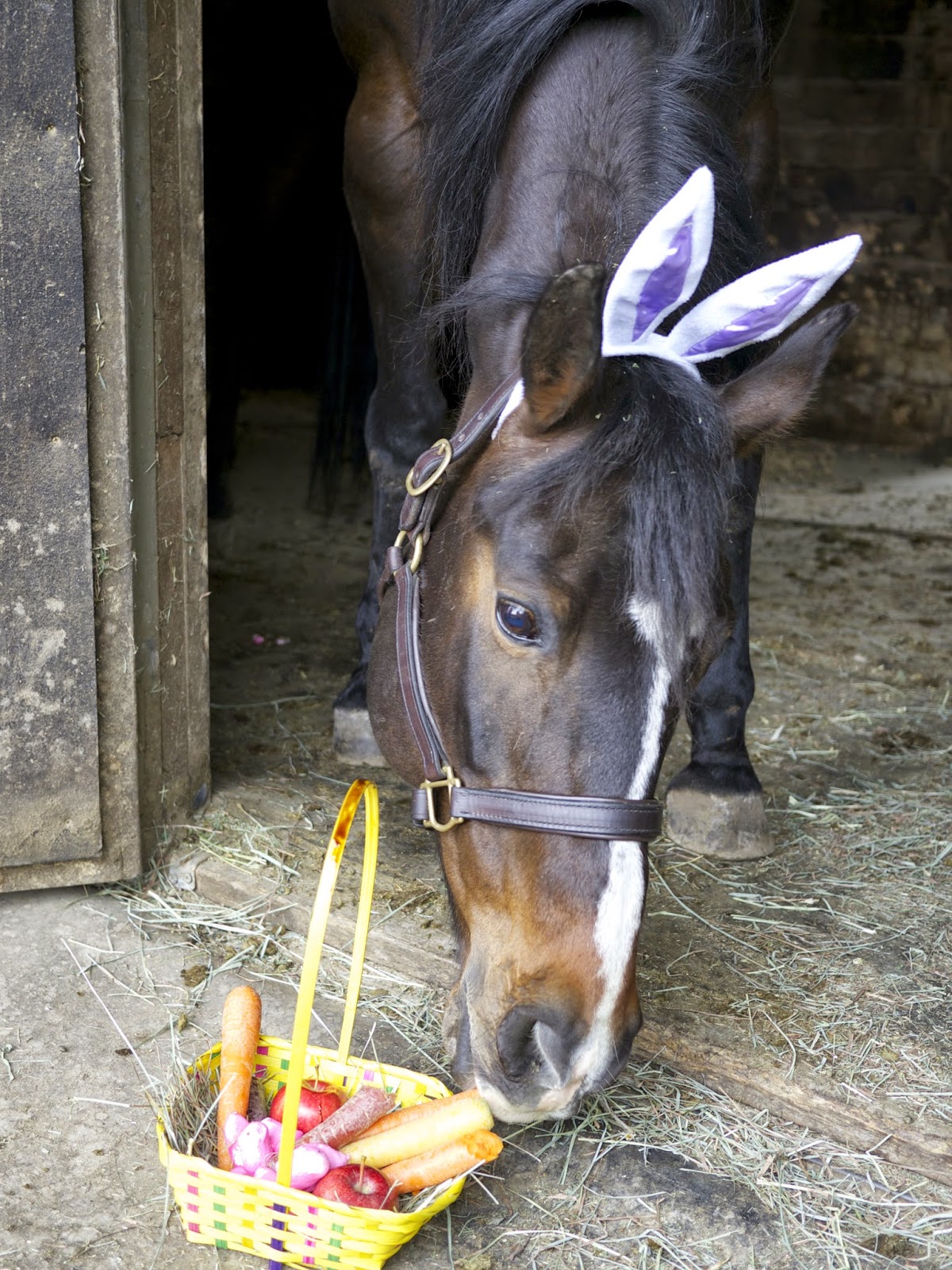 Easter Shenanigans DIY Horse Ownership