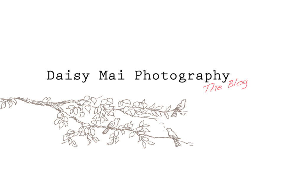 Daisy Mai Photography