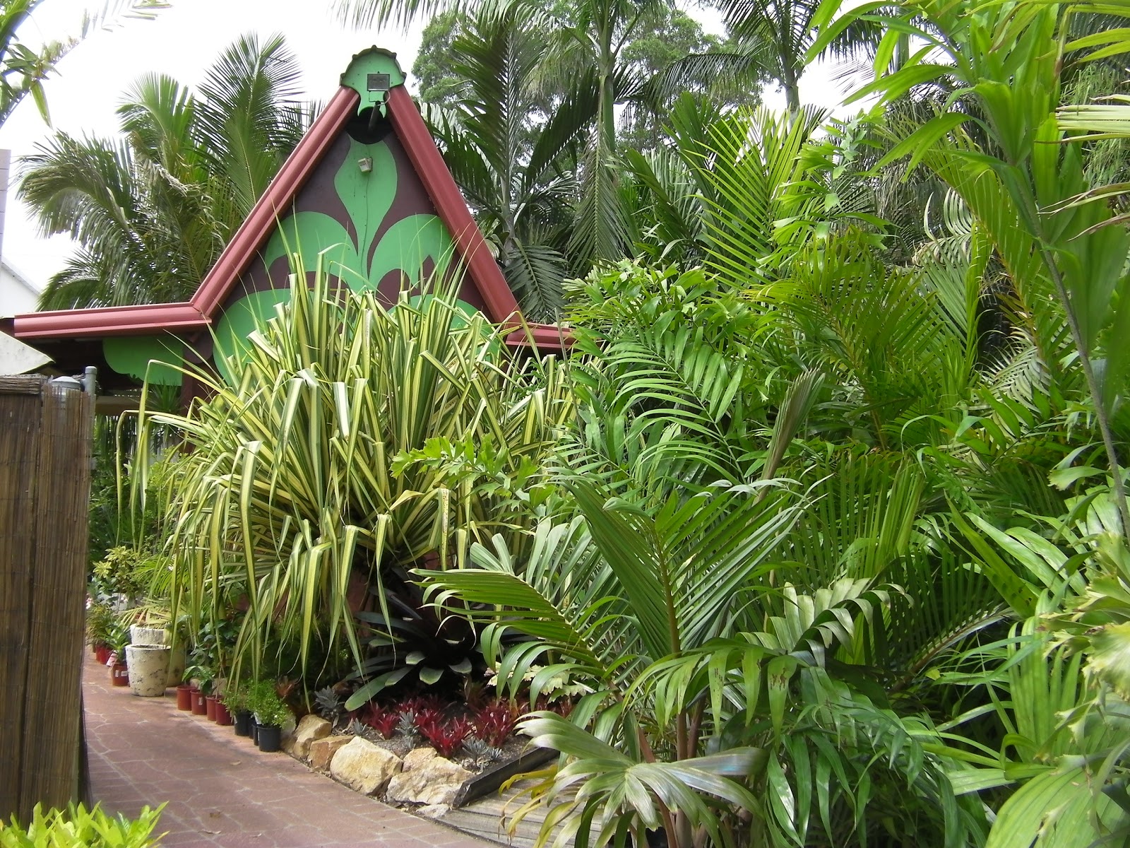 store wrapped Palms for Brisbane