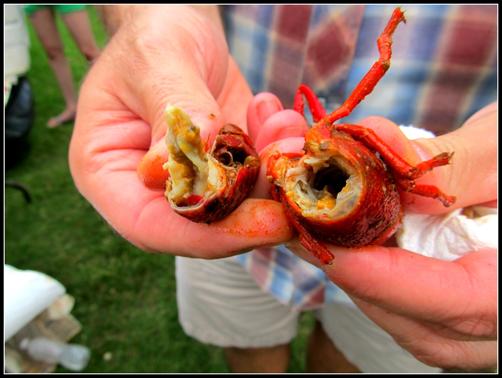 Greetings from Texas: Crawfish Boil