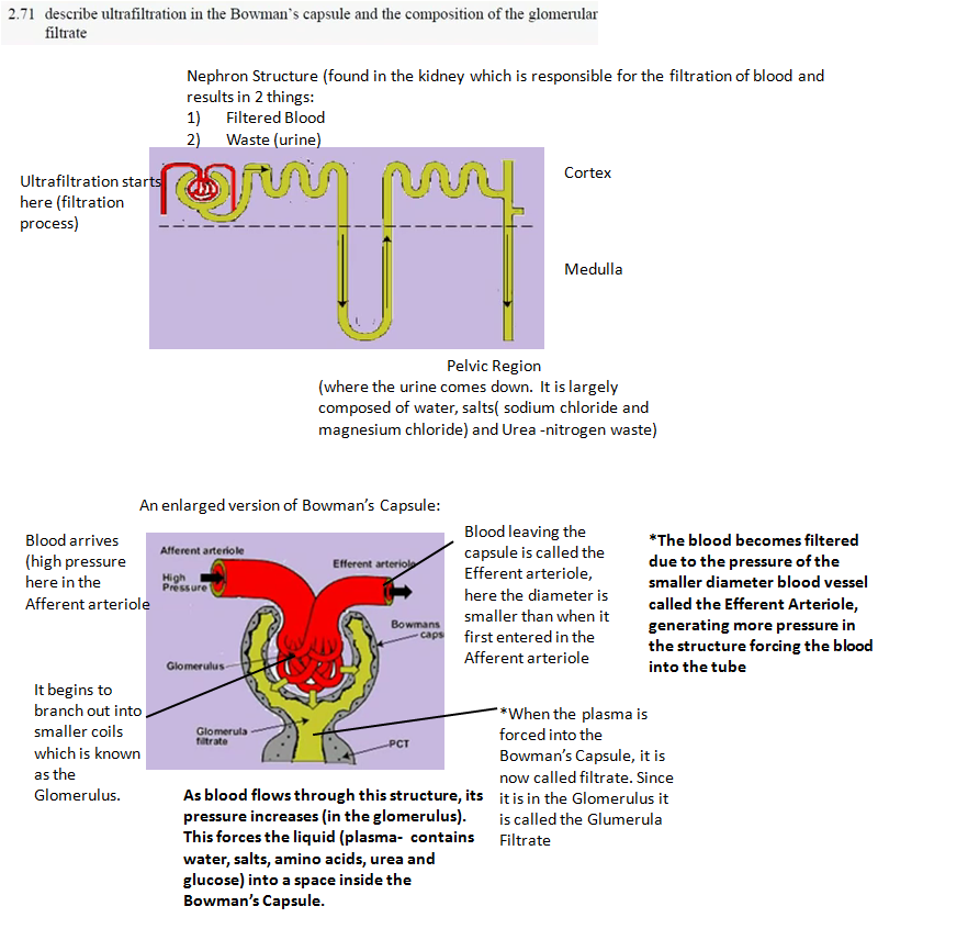 Tatiksha's Biology Blog ) 2.71 Ultrafiltration