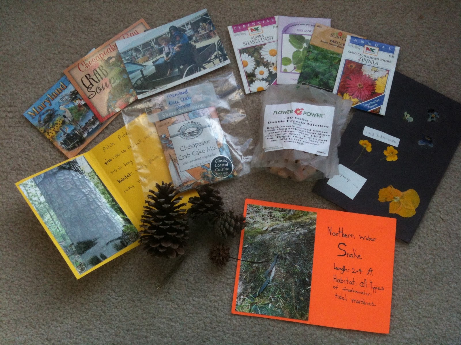 Our Exchange Boxes .. The Finale Eva Varga