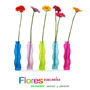 Floristeria Zaragoza Flores Edelweiss