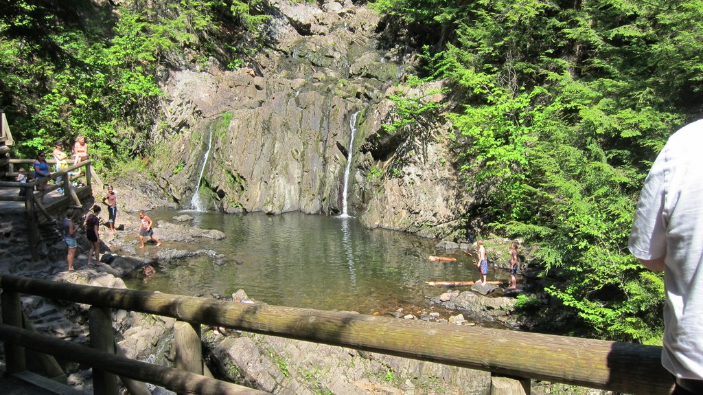 Photography 365 Truro's Victoria Park, in all its glory