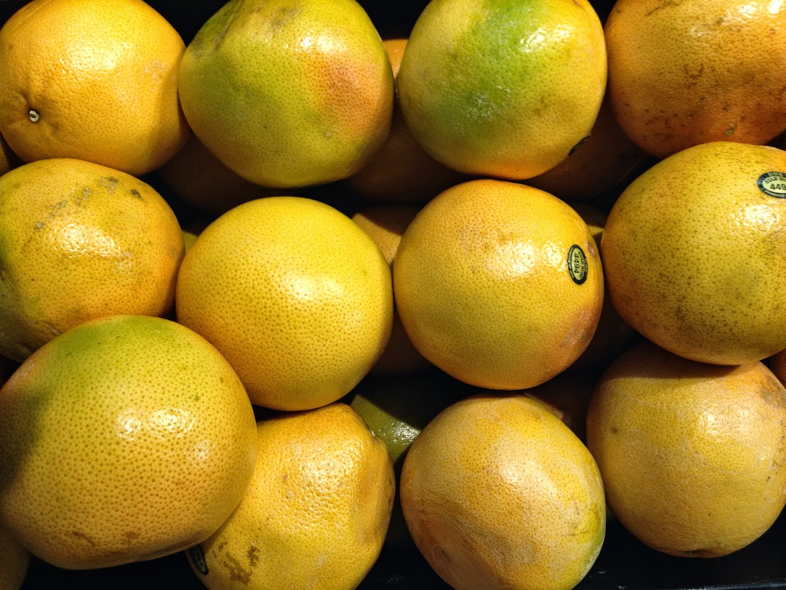 Every goddamn day 12/26/21 Grapefruit has thwarted me